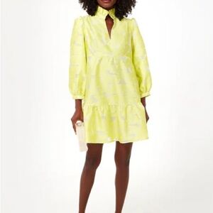 Tuckernuck citron fil dress